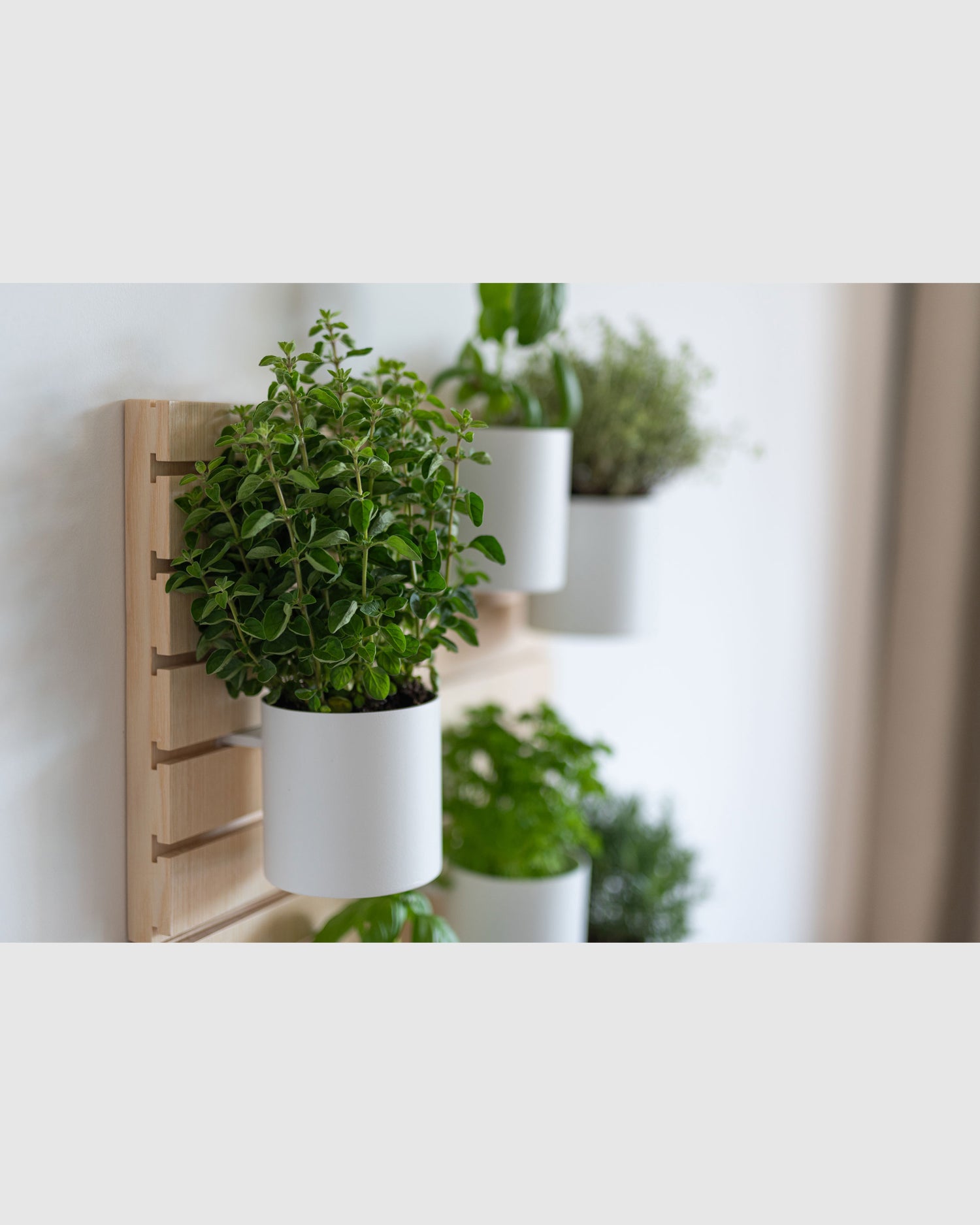 Bowls And Flowers Wooden Base