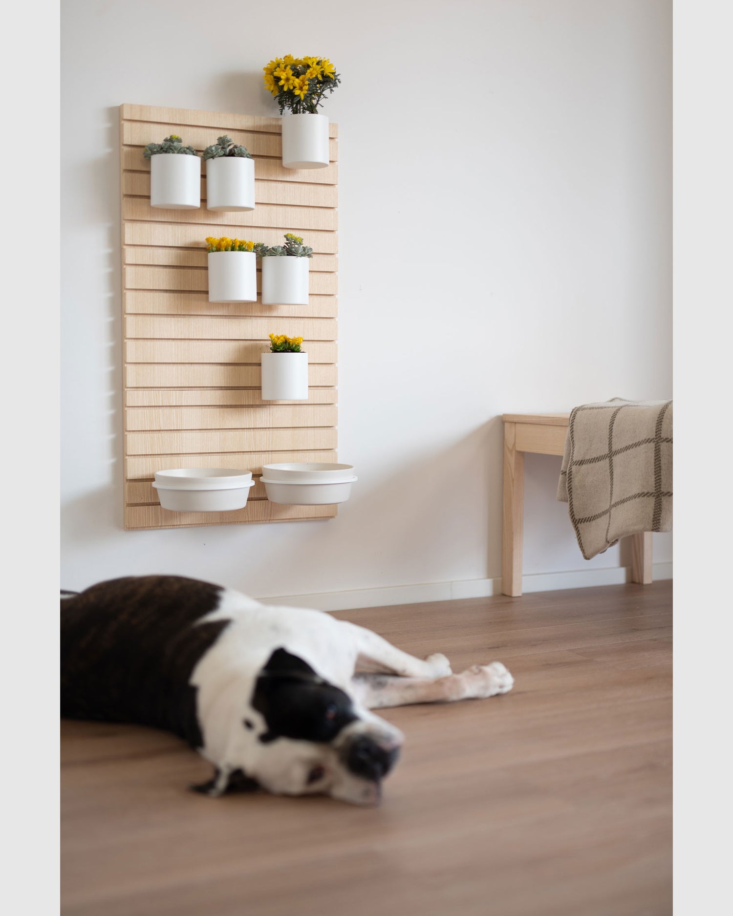 Bowls And Flowers Wooden Base