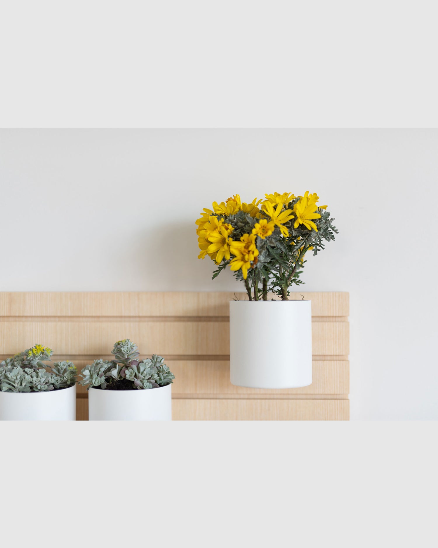 Bowls And Flowers Wooden Base