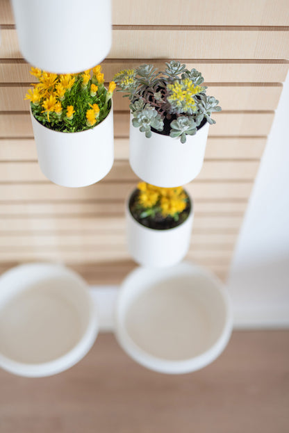 Bowls And Flowers