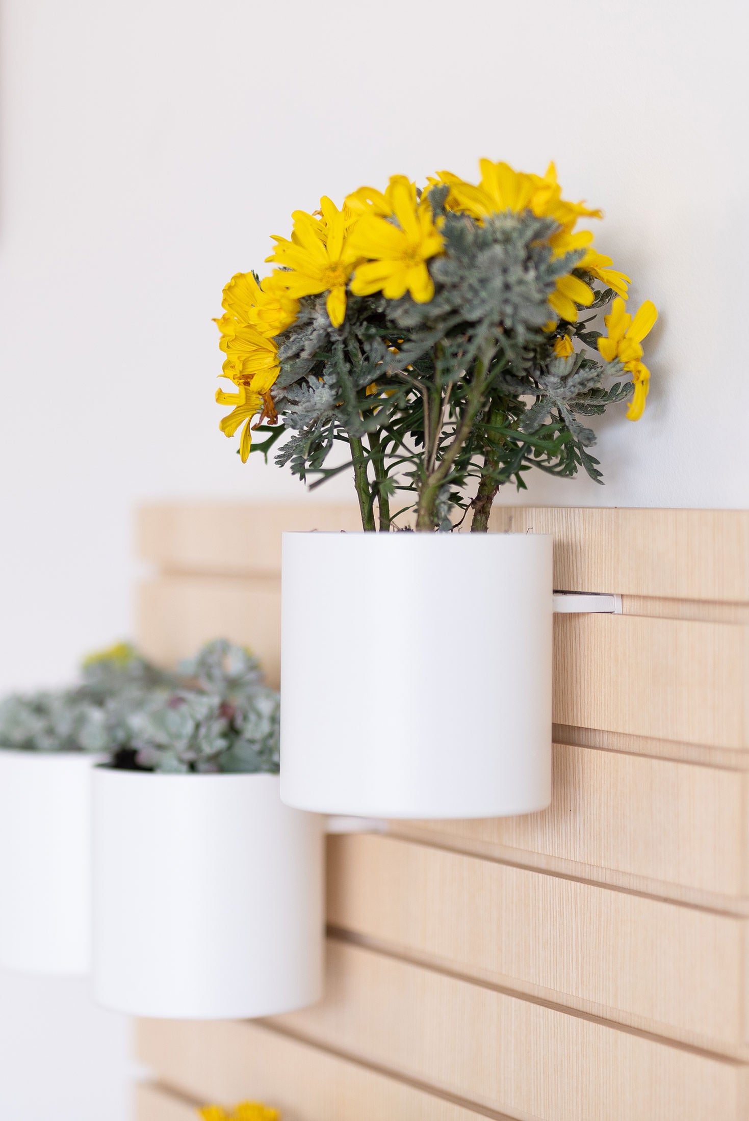 Bowls And Flowers