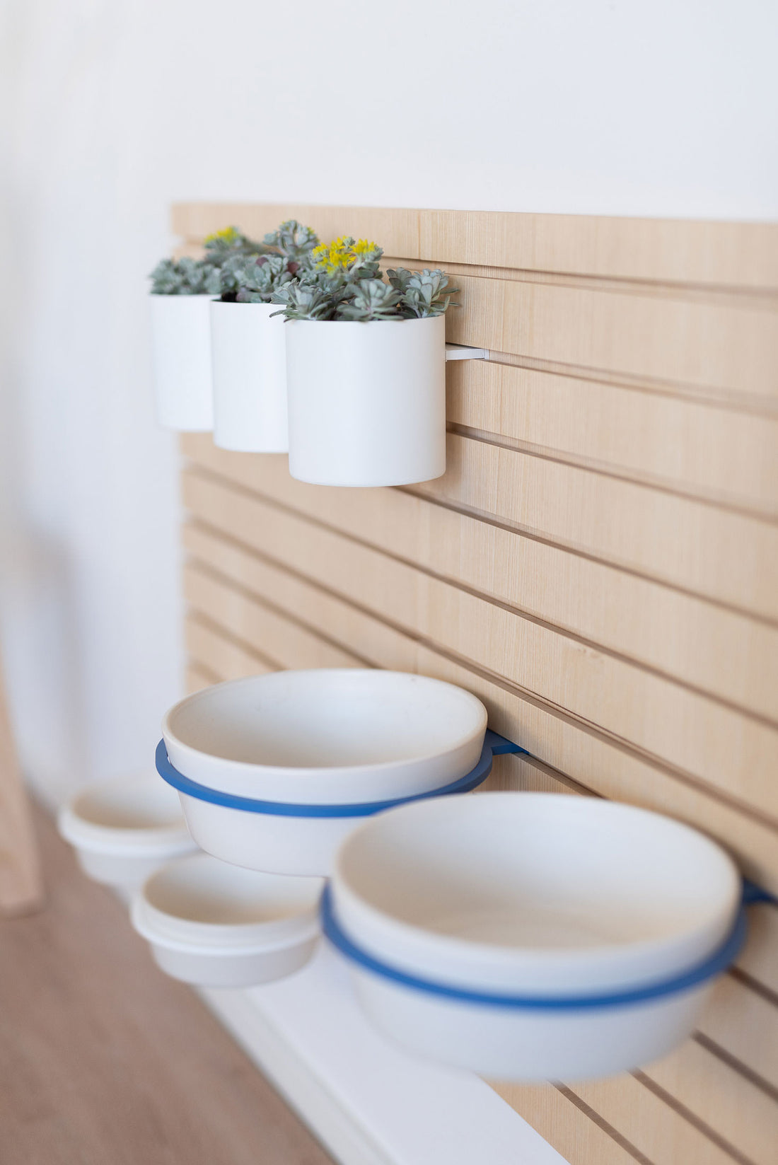 Bowls And Flowers